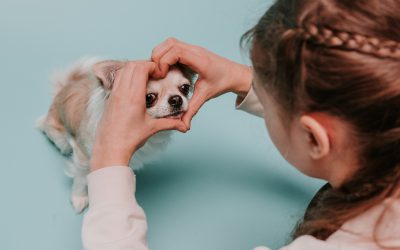 Children training puppies – what you need to consider