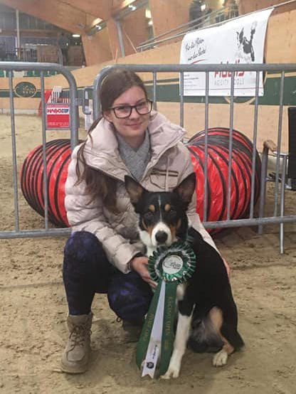 Large Dog Agility 1st Place - Incredible Dog Challenge 2015