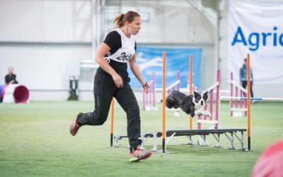 Get ready for your first dog agility competition