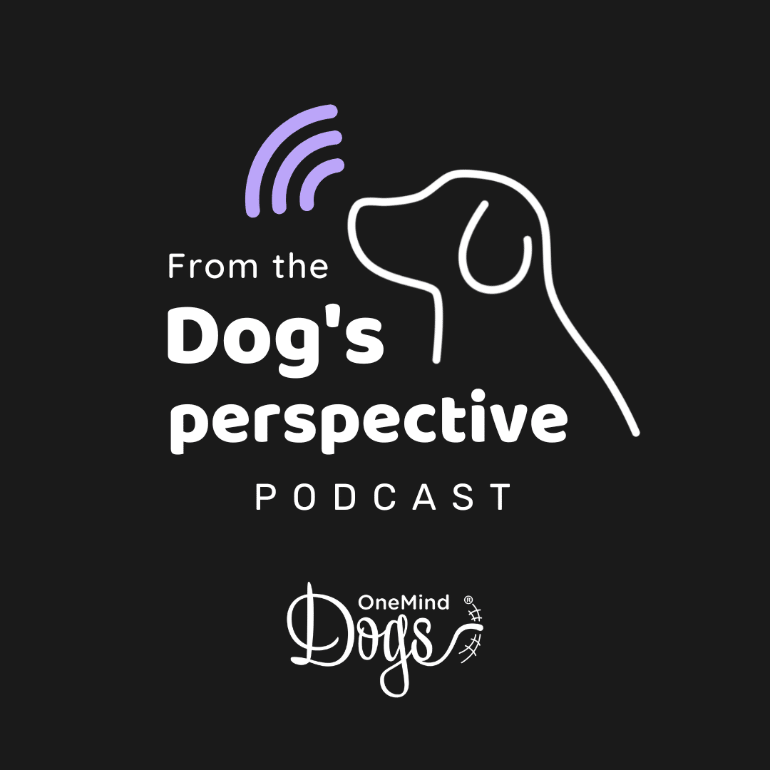 OneMind Dogs Podcast — From the dog's perspective