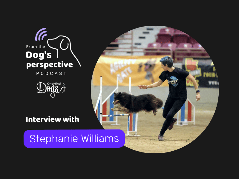 Stephanie Williams’s journey from school teacher to dog enthusiast