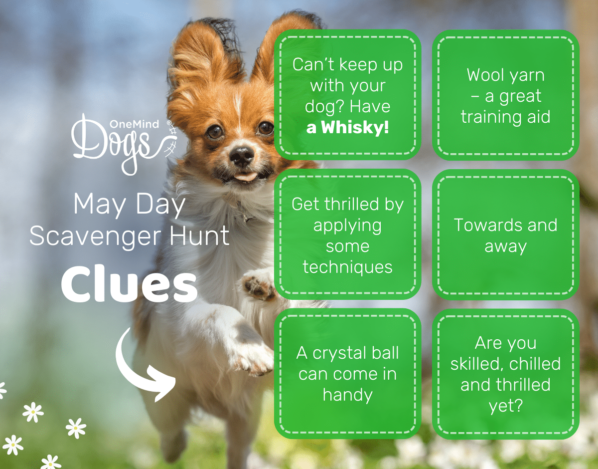 may day scavenger hunt clues