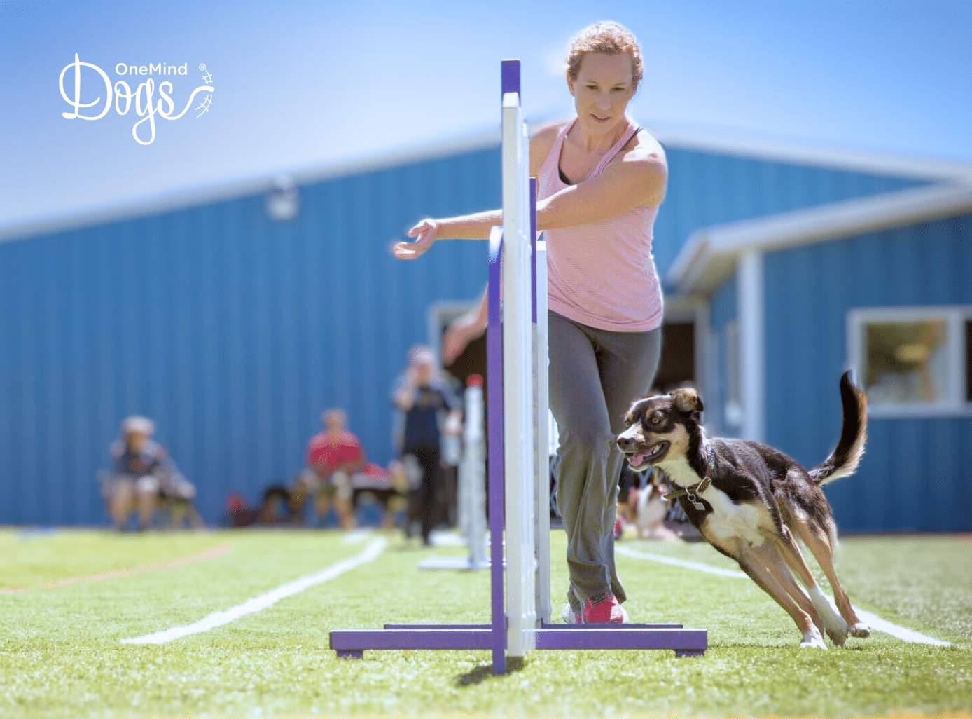 one jump agility exercises small space