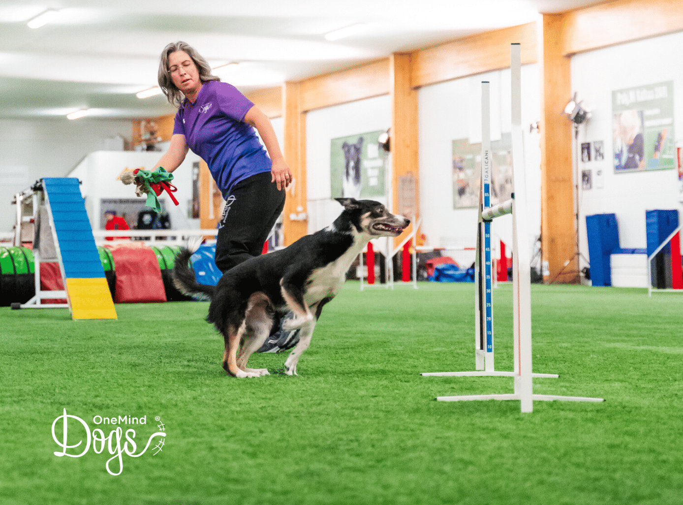 leading legs in dog agility