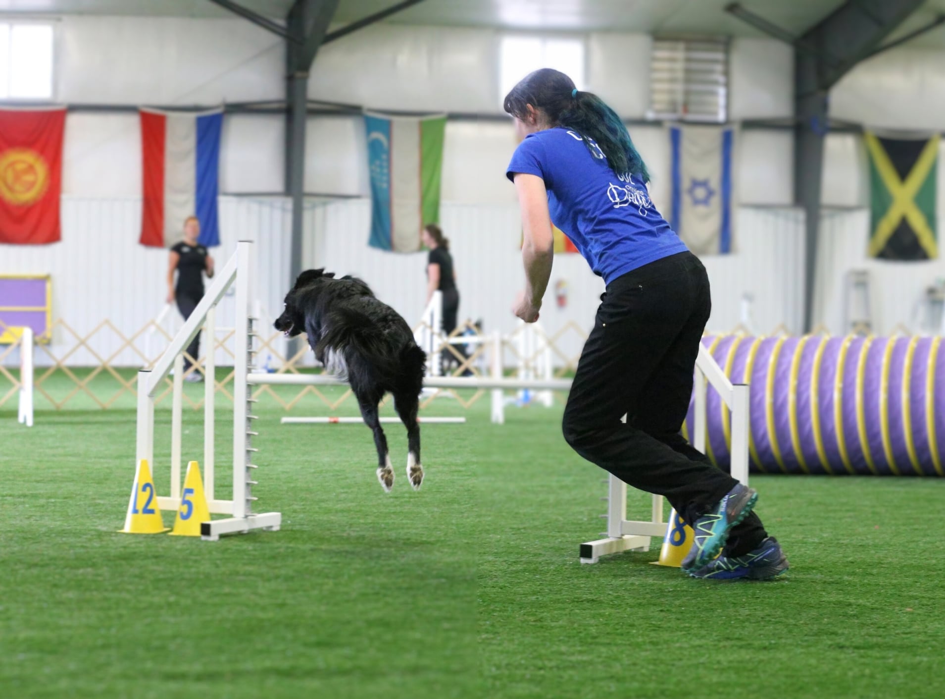 one jump agility exercises small space