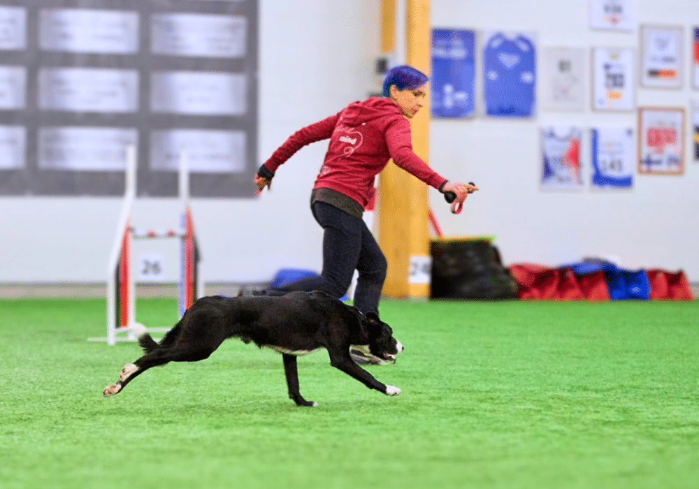 connection in dog agility