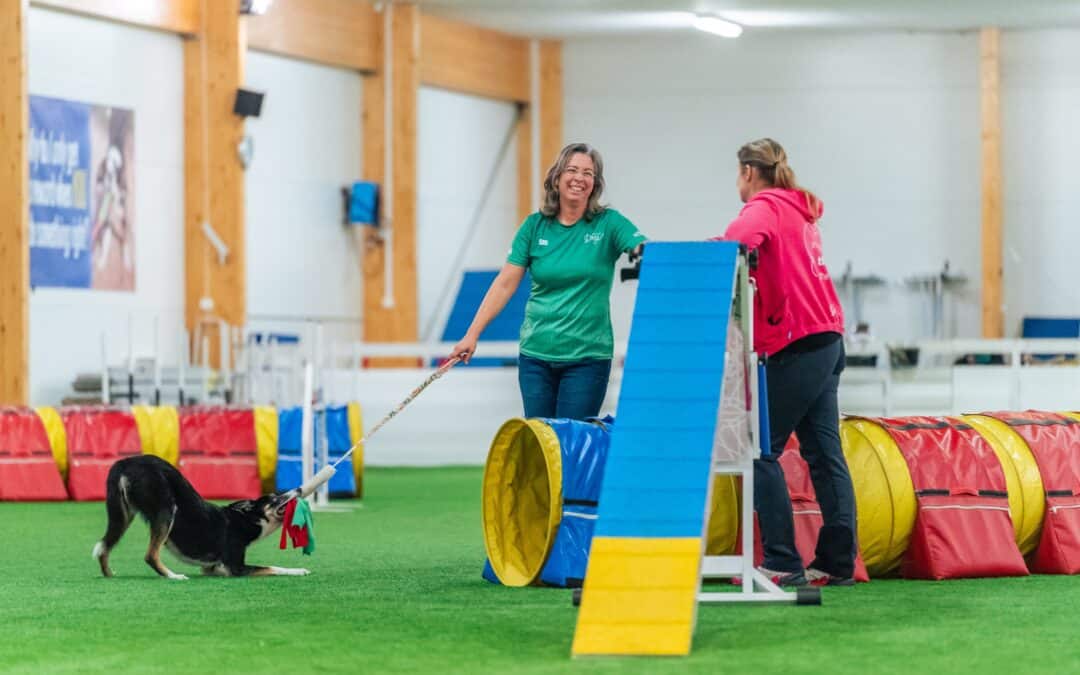 Plan your dog training sessions: Avoid “Just one more time”